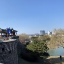 수원-0315 티스토리