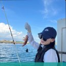 차귀도태양배낚시with돌고래