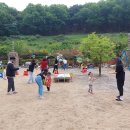 유보라어린이집 Daum카페