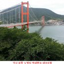 대도유료낚시터 이미지