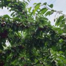 망상농장 이미지