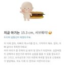 11620-19-21-3 | 임신 21주 배크기, 변비, 마그밀 후기, 임산부 스타킹, 임산부 식단, 태동, 산전 필라테스, 버터떡
