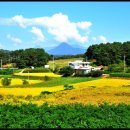 김 약 국 이미지