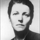 대지의 비상 이미지