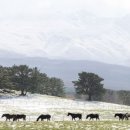 국립축산과학원 난지축산연구소 이미지