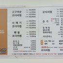 금빛코다리