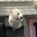 현대DC하나로마트 | 육지와 해양의 만남