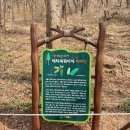 홍제천 수변테라스 야외화장실 | 서울 안산 자락길 · 메타세쿼이아 길 &amp; 홍제폭포