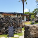 올레애견펜션 이미지