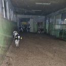 송호농장 이미지