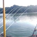 늘푸른낚시터 이미지