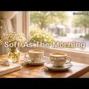 morning soft 이미지