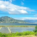 근성목장 이미지