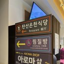 제주산방산탄산온천 | 제주 산방산 탄산온천 찜질방 솔직후기 노천탕 정보 꿀팁 공개