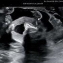 김건우 산부인과의원 이미지