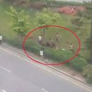 광산구-001 이미지