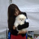 린치텐 이미지
