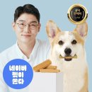 레프