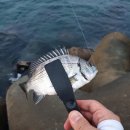 낚시마을 이미지