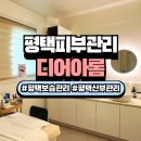 현신로 | 겨울 피부, 단백질로 촉촉하게 채우기 : 평택 디어아롬 보습관리 후기