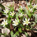 안성(부산) 이미지