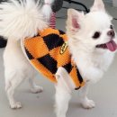 쏘큐트 펫살롱 이미지