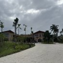 야자수 풀빌라 | 호이안 신상 리조트 나미아 리버 리트리트 패밀리 풀빌라 내돈내산 후기