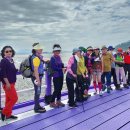 행복한미래약국 이미지