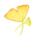 파계 오토캠핑장 이미지