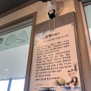 제주 산방산 맛집 ; 매생이 보말칼국수 + 물만두 세트 솔직후기 [형제섬보말칼국수]