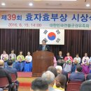 김송란축사 Daum카페