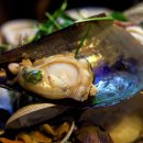 조개일번지 이미지