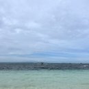 보스커피 이미지