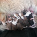 세광상사 이미지