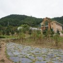 누리담한의원 이미지