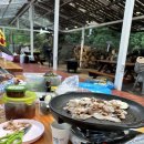 유가사길 | 대구 근교에서 당일치기로 즐기는 피서, 비슬산 평상대여 계곡 [쉴만한물가]