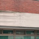 빈티지1950 | 혜화 빈티지 식물 카페 : 써카1950