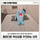 왁싱더문 | 인천 송도 브라질리언 비니키 왁싱 꼼꼼한 왁싱샵 솔직후기
