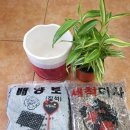 제천시장애인종합복지관 이미지