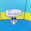 재팬씨