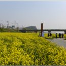 나주홍어 이미지