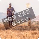 영제농장 | [영화&amp;드라마]바람을 길들인 풍차소년/더 보이 후 하네스드 더 윈드/실화/줄거리/리뷰/후기