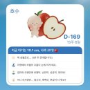 이마트24 당하풍림점 | [임신 15주차] 이렇게 먹어도 되나 싶을 정도로 먹는 주간