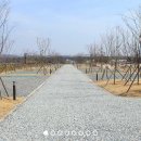 평화누리캠핑장 이미지