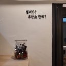 코코짐 이미지