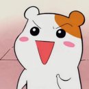 #1. 치아교정 시작 :: 교정치과 정하기/인비절라인 후기
