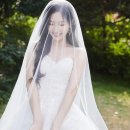 홍유경 카카오 검색결과