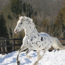 신흥Farm 이미지