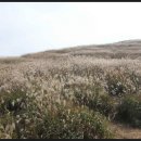 서청주 백두오름산악회 10월달산행 이미지