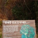 강선암주차장 네이버블로그